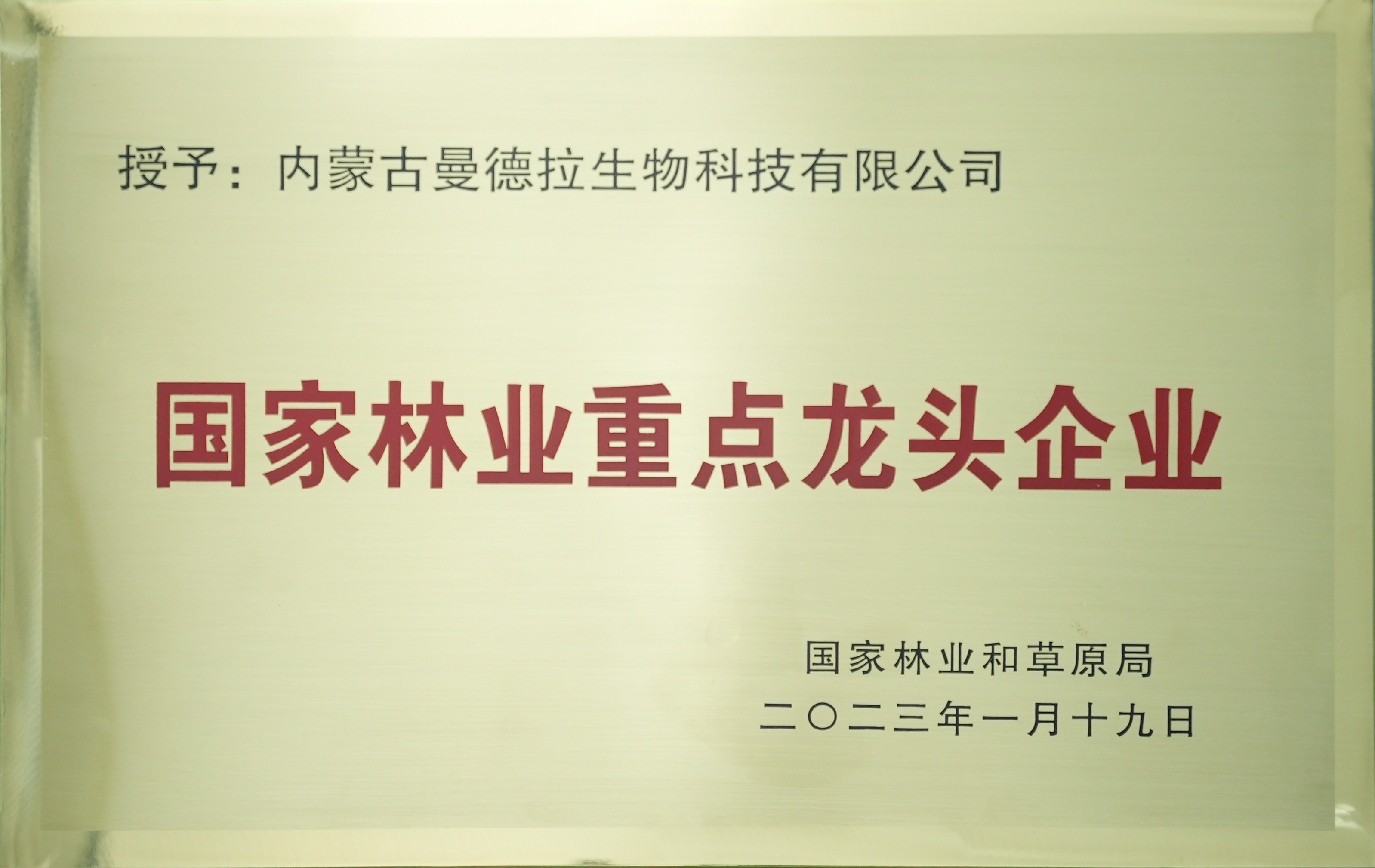 1國家林業(yè)重點(diǎn)龍頭.jpg